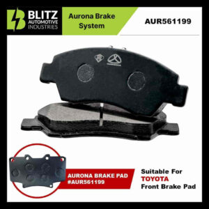 aur 561199 slide10 2 2 2 2 2.jpg