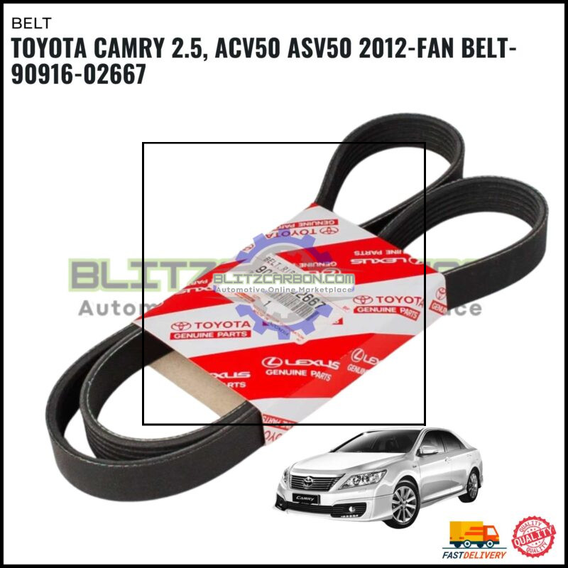 Toyota Camry 2.5, ACV50 ASV50 2012-Fan Belt-90916-02667