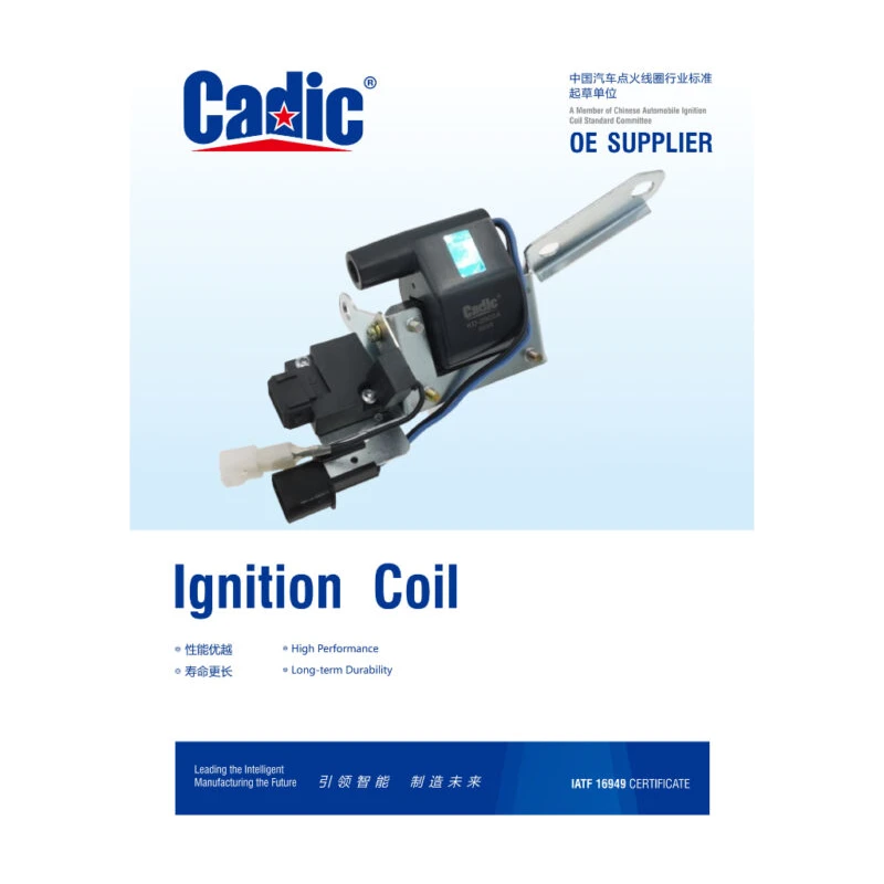 CADIC Original Hyundai Atos 1.0 (Import Model) Ignition Plug Coil